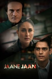 Jaane Jaan 2023 Dual Audio Hindi ORG 1080p 720p 480p WEB-DL x264 MSubs