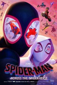 Spider-Man: Across the Spider-Verse