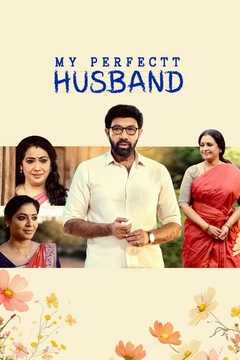 My Perfectt Husband 2024 S01 Complete [Hindi-Bengali] ORG 1080p 720p 480p WEB-DL x