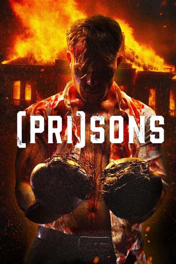 Prisons 